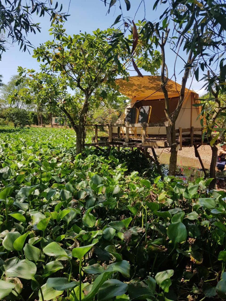 Single Room with Garden View