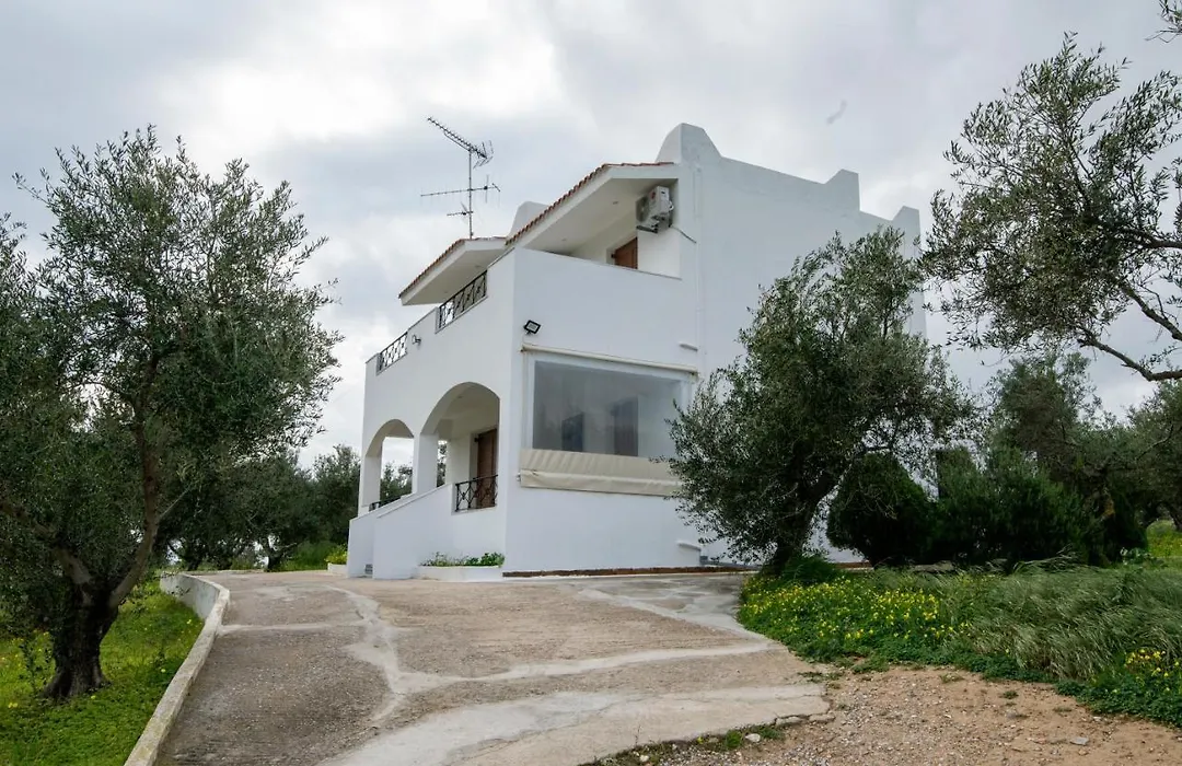 Uliveto 3Bd Rustic House-1