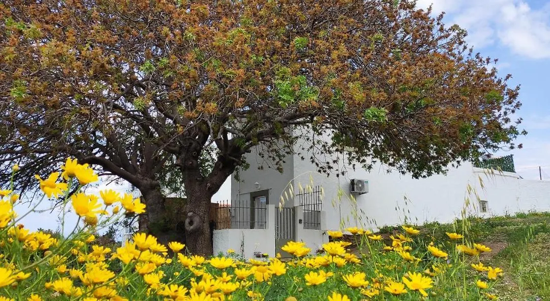 Traditional Suburbs Maisonette-1