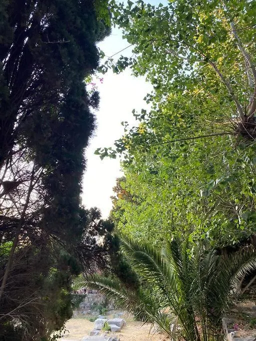 Casa Di Sardi-1
