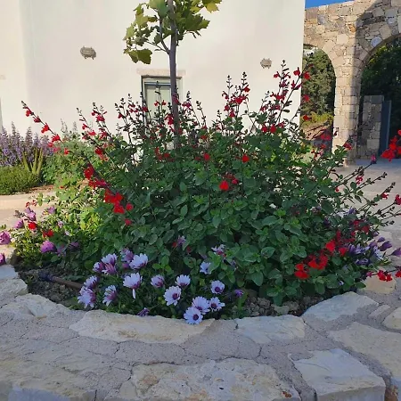AnamneZia Luxury Suites-3