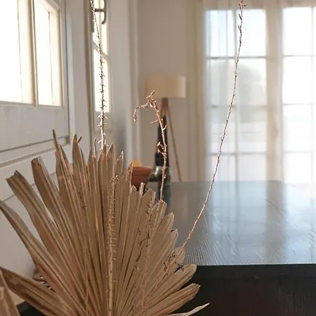 Beachlife: The Apartment-3