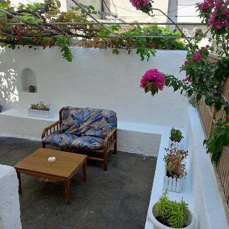 Tedi&Alex House-2