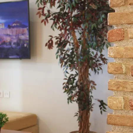 Camara Suite-3