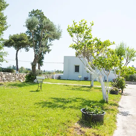 Gelli Apartments-2