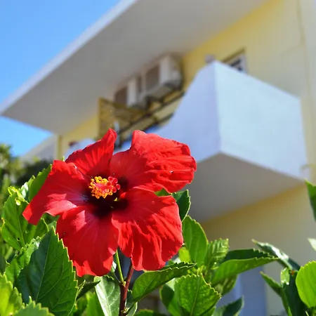 Yiannis Apartments-3