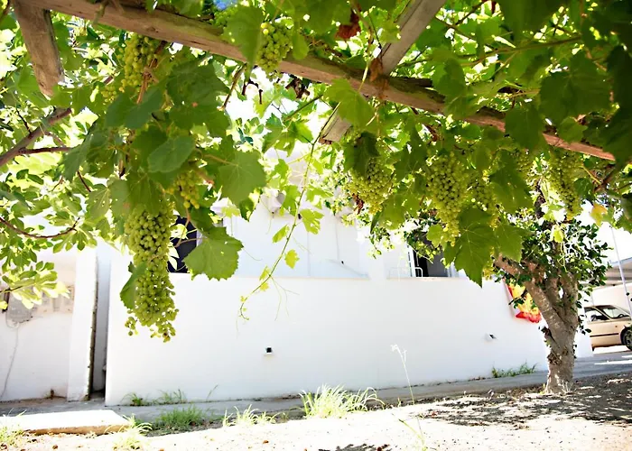 El Verano Apartments Kardamena  che accetta animali