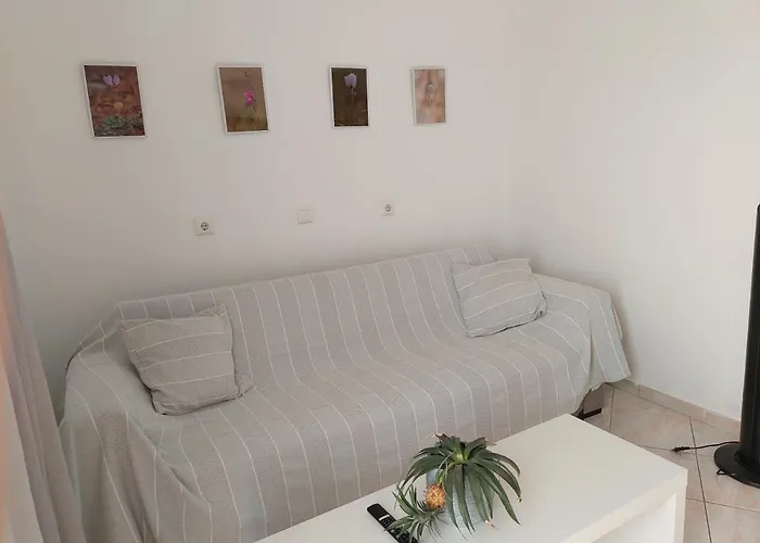 Layla's Home Kos
