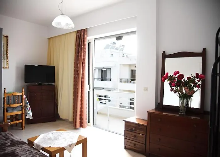 Stavros Double Room Fivos Apartment In Kos acceptant les animaux