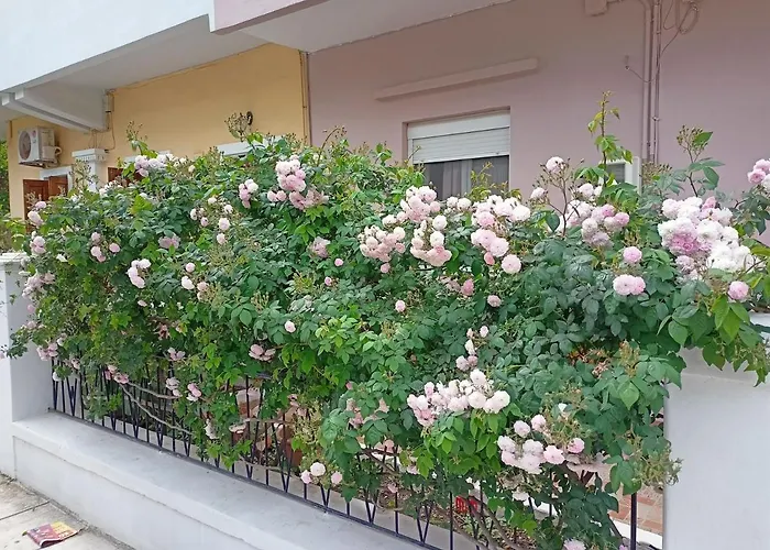 Appartement Family House Kos Down Town acceptant les animaux