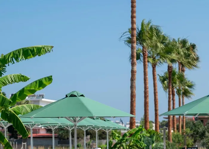Haustierfreundliches Smaragdi Kos Hotel