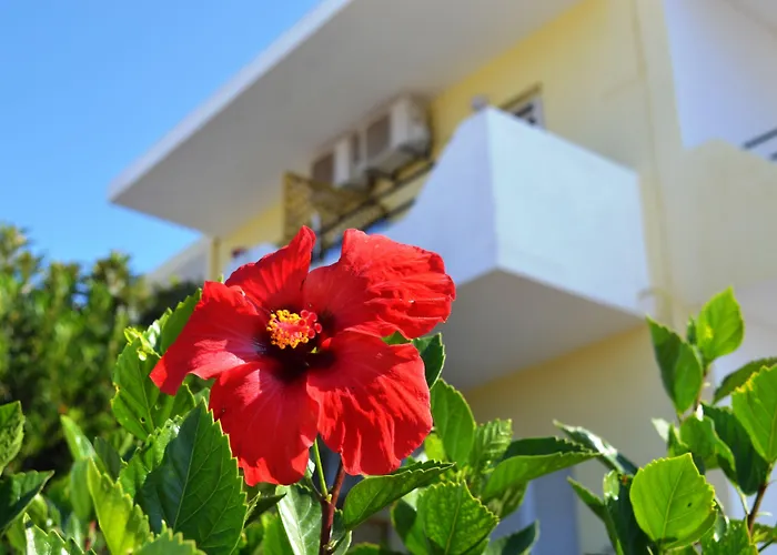 Yiannis Apartments Mastichari 